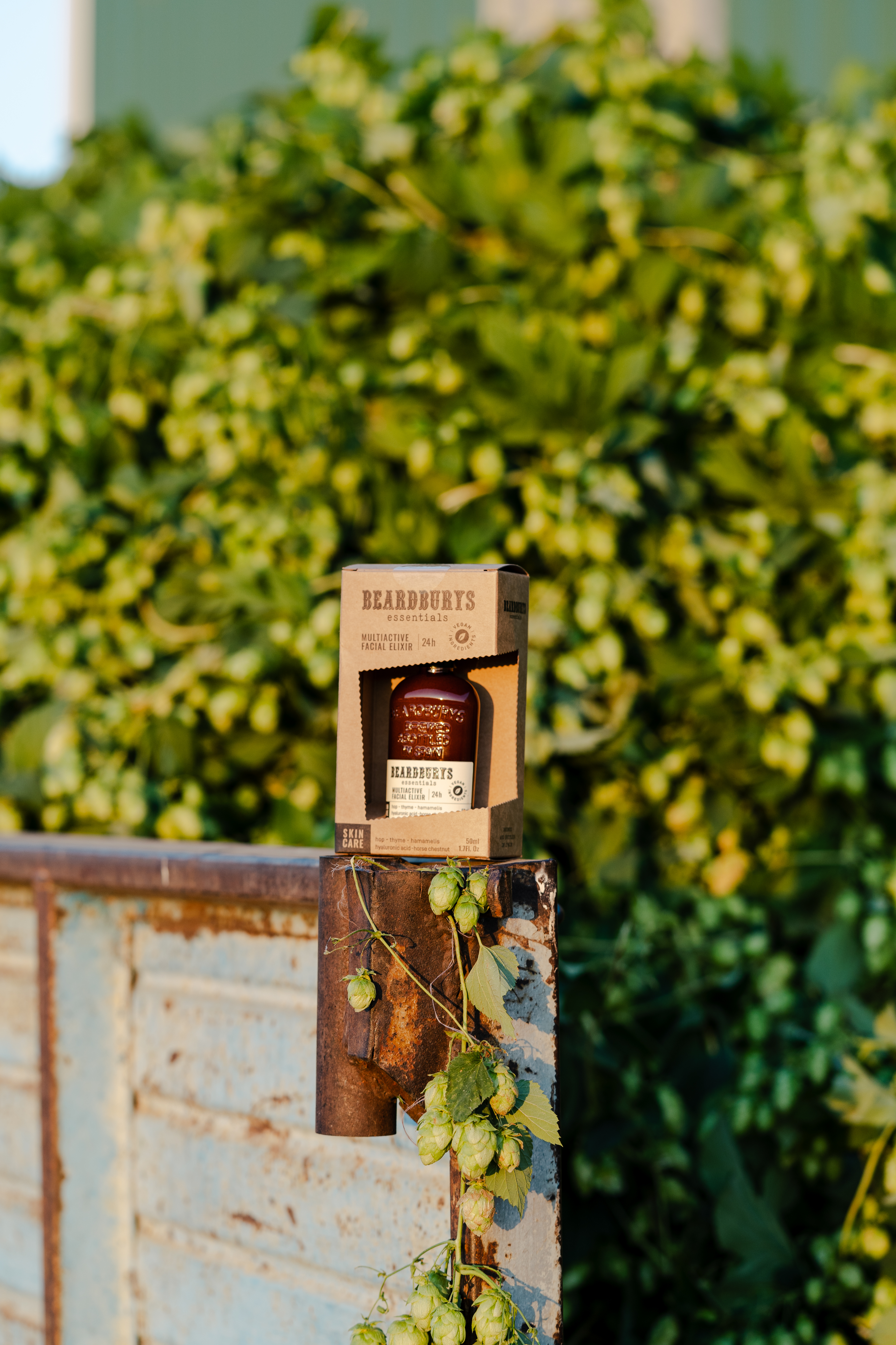 Beardburys Essentials Multiactive Arckrém 24H